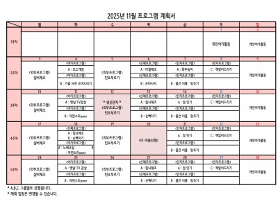 25년 11월 프로그램 계획서